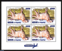 Solomon Islands 2018 Dogs, Mint NH, Nature - Dogs - Salomon (Iles 1978-...)