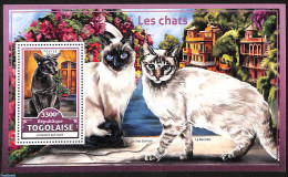 Togo 2016 Cats, Mint NH, Nature - Cats - Togo (1960-...)