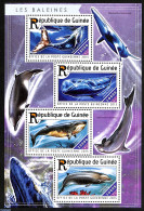 Guinea, Republic 2015 Whales, Mint NH, Nature - Fish - Vissen