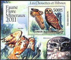 Comoros 2011 Owls, Mint NH, Nature - Birds - Birds Of Prey - Owls - Komoren (1975-...)