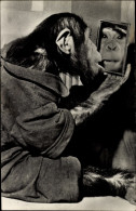 CPA Schimpanse Betrachtet Sich Im Spiegel - Sonstige & Ohne Zuordnung