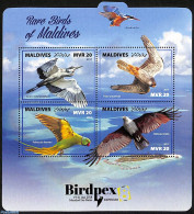 Maldives 2017 Rare Birds Of The Maldives, Mint NH, Nature - Birds - Birds Of Prey - Maldives (1965-...)