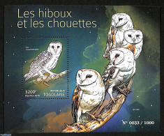 Togo 2015 Owls,  Numbered Edition, Mint NH, Nature - Birds - Birds Of Prey - Owls - Togo (1960-...)