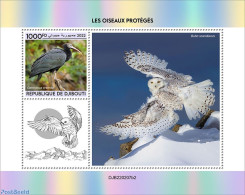 Djibouti 2022 Protected Birds , Mint NH, Nature - Birds - Owls - Dschibuti (1977-...)