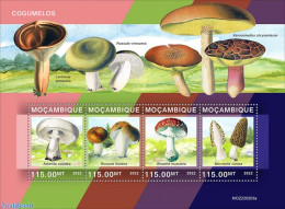 Mozambique 2022 Mushrooms, Mint NH, Nature - Mushrooms - Hongos