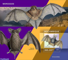 Mozambique 2022 Bats, Mint NH, Nature - Bats - Mozambique