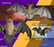 Mozambique 2022 Bats, Mint NH, Nature - Bats - Mozambique