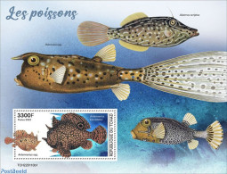 Chad 2022 Fishes, Mint NH, Nature - Fish - Autres & Non Classés