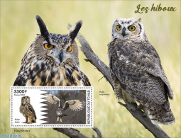 Chad 2022 Owls, Mint NH, Nature - Owls - Autres & Non Classés