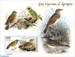 Chad 2022 Birds Of Africa, Mint NH, Nature - Birds - Otros & Sin Clasificación