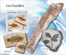 Togo 2022 Fossils, Mint NH, Nature - Prehistoric Animals - Prehistory - Préhistoriques