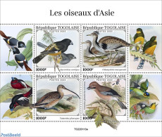 Togo 2022 Birds Of Asia, Mint NH, Nature - Birds - Togo (1960-...)