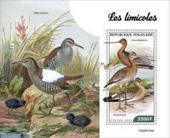 Togo 2022 Waders, Mint NH, Nature - Birds - Togo (1960-...)