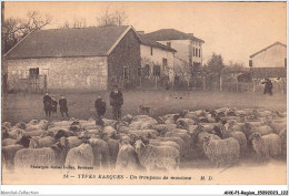 AHKP1-0062 - REGION - MIDI-PYRENEES - Types Basques - Un Troupeau De Moutons - Midi-Pyrénées
