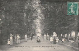 ARDRES : Avenue Des Tilleuls Plantée En 1776. (TTB Animation) - Ardres