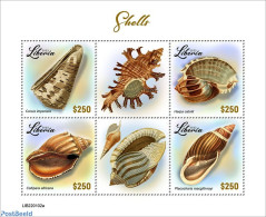 Liberia 2022 Shells, Mint NH, Nature - Shells & Crustaceans - Vita Acquatica