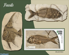 Sierra Leone 2022 Fossils, Mint NH, Nature - Fish - Prehistoric Animals - Pesci