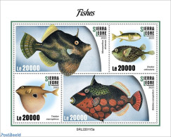 Sierra Leone 2022 Fishes, Mint NH, Nature - Fish - Fische