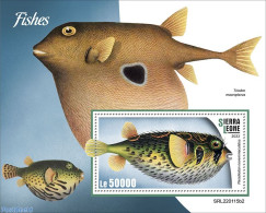 Sierra Leone 2022 Fishes, Mint NH, Nature - Fish - Pesci
