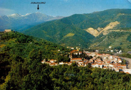 AMELIE-LES-BAINS     ( PYRENEES ORIENTALES) - Amélie-les-Bains-Palalda