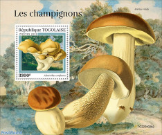 Togo 2022 Mushrooms, Mint NH, Nature - Mushrooms - Pilze