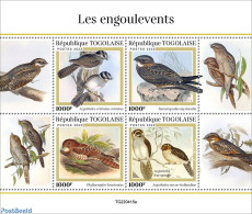 Togo 2022 Nightjars, Mint NH, Nature - Birds - Togo (1960-...)