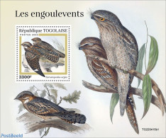 Togo 2022 Nightjars, Mint NH, Nature - Birds - Togo (1960-...)