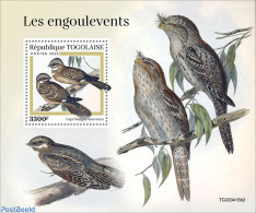 Togo 2022 Nightjars, Mint NH, Nature - Birds - Togo (1960-...)
