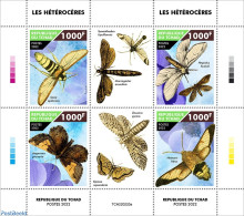 Chad 2022 Moths, Mint NH, Nature - Insects - Otros & Sin Clasificación