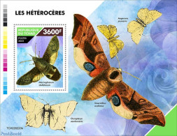 Chad 2022 Moths, Mint NH, Nature - Insects - Otros & Sin Clasificación