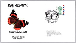 Mariposa RED ADMIRAL. Vanessa Atalanta. Butterfly. Wareham, Dorset 2013 - Mariposas