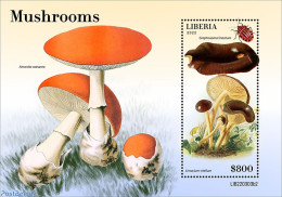 Liberia 2022 Mushrooms, Mint NH, Nature - Insects - Mushrooms - Champignons