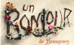 45 : De Beaugency : Un Bonjour   ///  Ref. Mai 24 ///  N° 29.803 - Beaugency