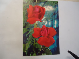 GREECE  POSTCARDS   ROZES RED - Grecia