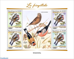 Niger 2022 Finches, Mint NH, Nature - Birds - Niger (1960-...)
