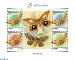 Niger 2022 Moths, Mint NH, Nature - Insects - Niger (1960-...)