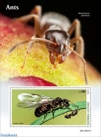 Sierra Leone 2022 Ants, Mint NH, Nature - Insects - Sonstige & Ohne Zuordnung