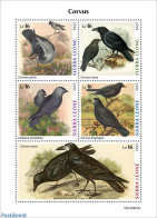 Sierra Leone 2022 Corvus, Mint NH, Nature - Birds - Sonstige & Ohne Zuordnung