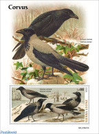 Sierra Leone 2022 Corvus, Mint NH, Nature - Birds - Sonstige & Ohne Zuordnung