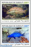 Djibouti 2022 Slender Grouper, Mint NH, Nature - Fish - Fische