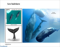 Djibouti 2022 Whales, Mint NH, Nature - Sea Mammals - Djibouti (1977-...)