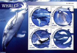 Sierra Leone 2016 Whales, Mint NH, Nature - Sea Mammals - Autres & Non Classés