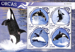 Sierra Leone 2016 Orcas, Mint NH, Nature - Sea Mammals - Autres & Non Classés