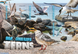 Sierra Leone 2016 Terns, Mint NH, Nature - Birds - Andere & Zonder Classificatie