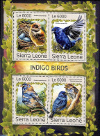 Sierra Leone 2016 Indigo Birds, Mint NH, Nature - Birds - Other & Unclassified