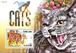 Sierra Leone 2015 Cats, Mint NH, Nature - Cats - Other & Unclassified