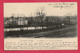 C.P. Courcelles = Motte :   Le Château    Et  Le  Moulin  De  RIANWELZ - Courcelles