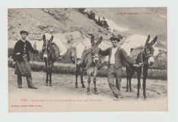 CPA - TRANSPORT De La GLACE NATURELLE à Dos D'ANE Ou MULET Dans Les Pyrénées - Très Beau Cliché Labouche N° 725 - 1910 E - Anes