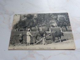 BC29-23 Cpa Egypte Egyptian Types And Scenes Ploughing At Heliopolis - Autres & Non Classés