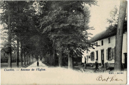 Chastre Avenue De L'Eglise  Circulée En 1903 - Chastre